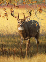 Late October
