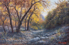 Canyon Trail