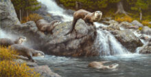 Children of the Water