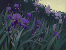 Iris Garden