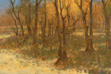 Dappled