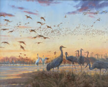 The Great Crane Migration