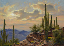 Southwestern Wonders