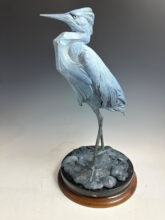 Snowy Egret
