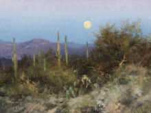 Evening in the McDowell Foothills
