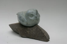 Owlet