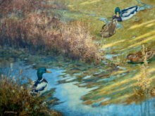 Mallard Mixer