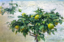 Meyer Lemons