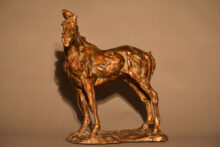 War Horse