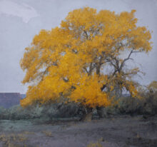 Desert Gold