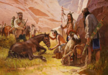 Horse Doctor