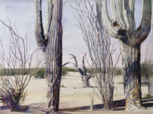 Cactus Jungle