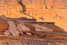 Capitol Reef National Park