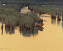 Reflecting on a Spring Marsh