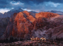 Canyon Descent
