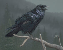 Raven Rhapsody